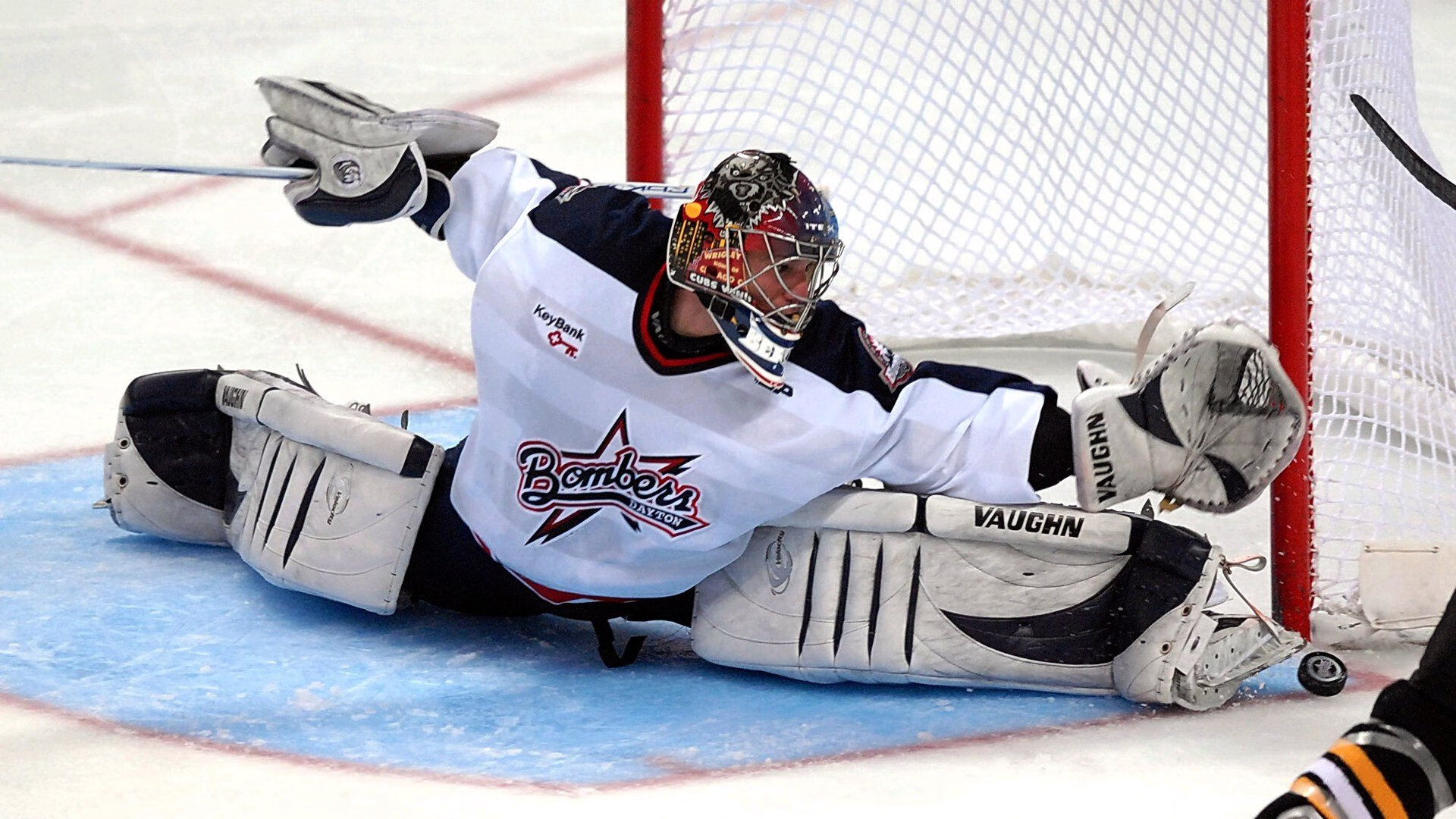 黄蜂军团战术碾压！世界杯焦点战猛龙防线遭系统性瓦解